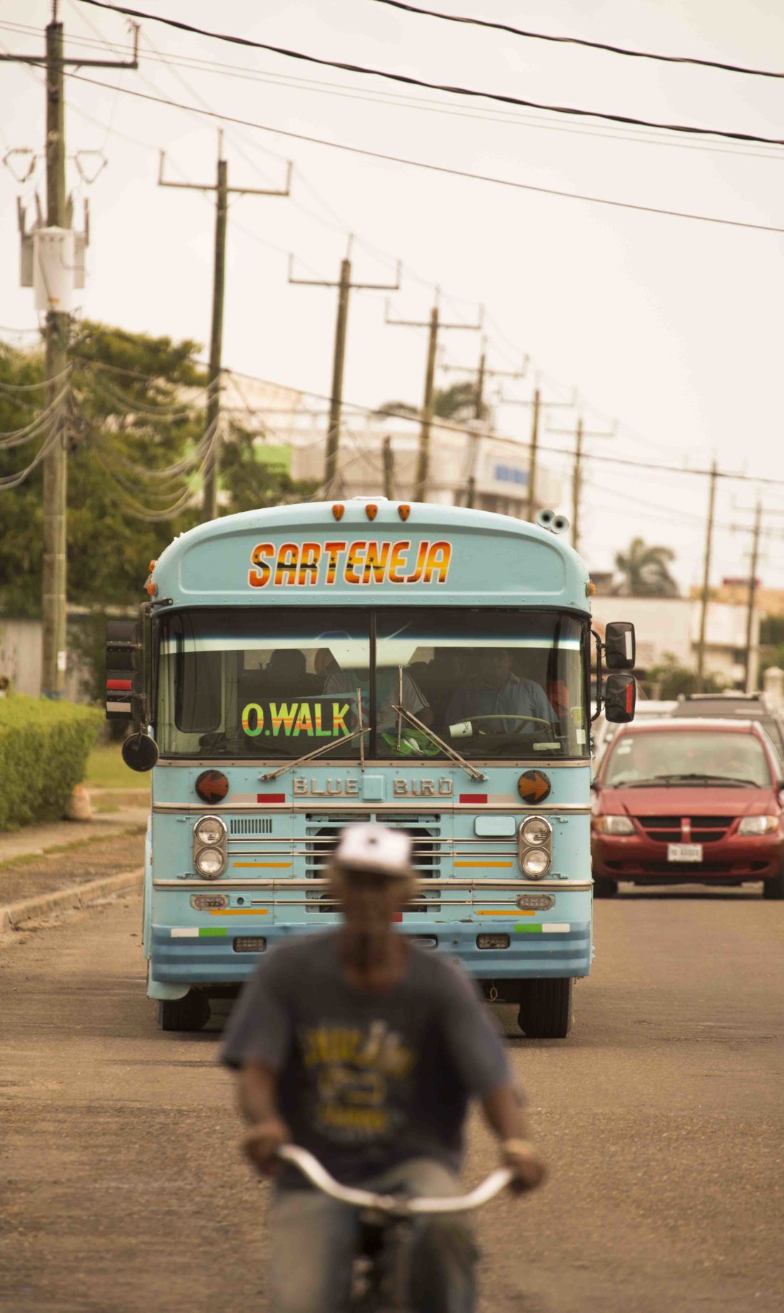 Belize City Bus