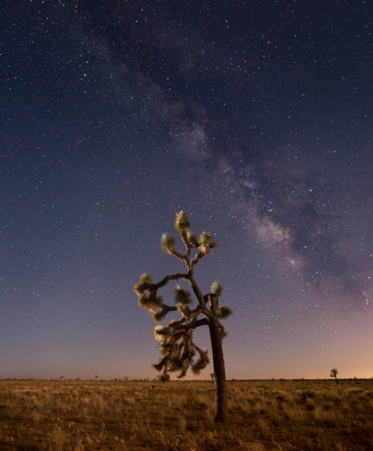 Joshua Tree National Park