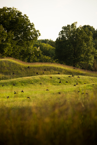 Cahkoia Mound