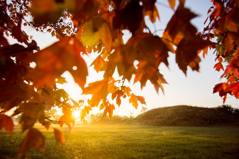 Sunrise Cahokia