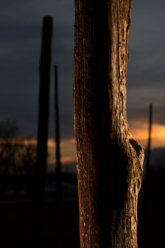 Cahokia Woodhenge Sunset